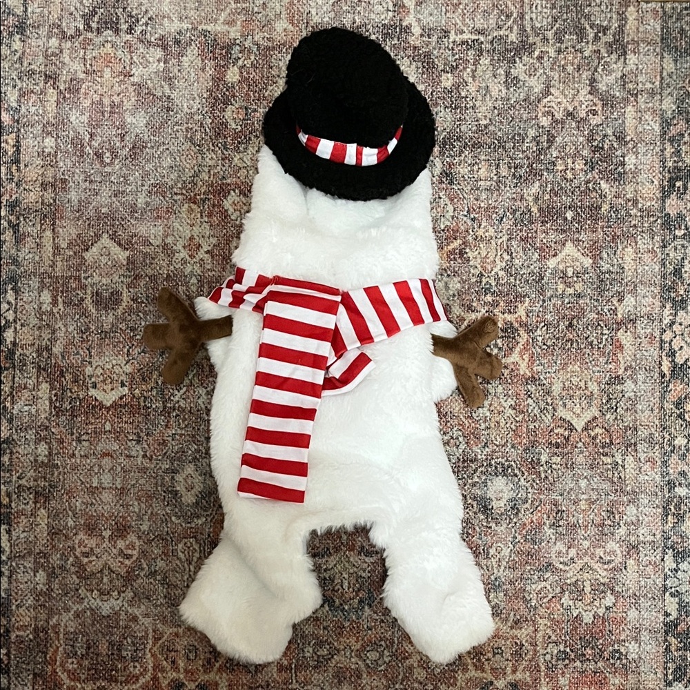 Pet Snowman Costume